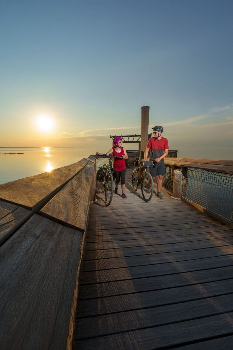 Home Devis Solerti 1