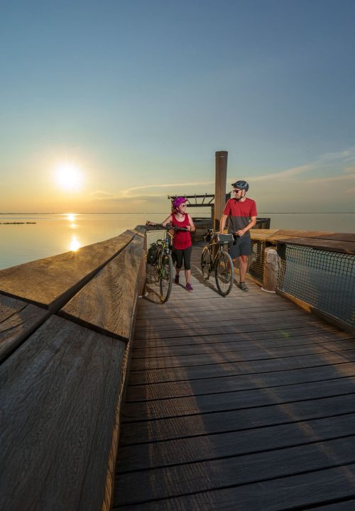 devissolerti-portfolio-Promoturismo-FVG devissolerti-portfolio-Promoturismo-FVG