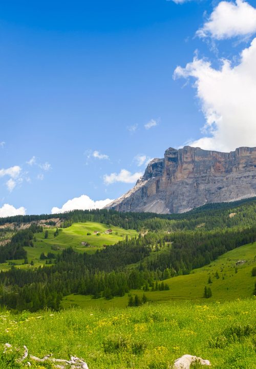 devissolerti-portfolio-la-ciano devissolerti-portfolio-la-ciano